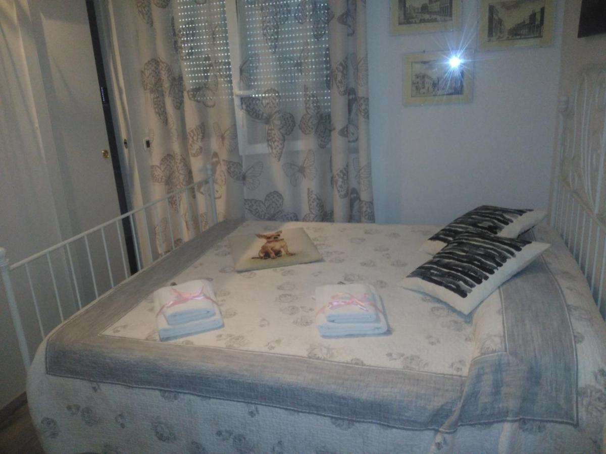 B&B San Vitale Μπολόνια Εξωτερικό φωτογραφία